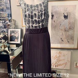 Gorgeous Sequin and pleated dress from The Limited
